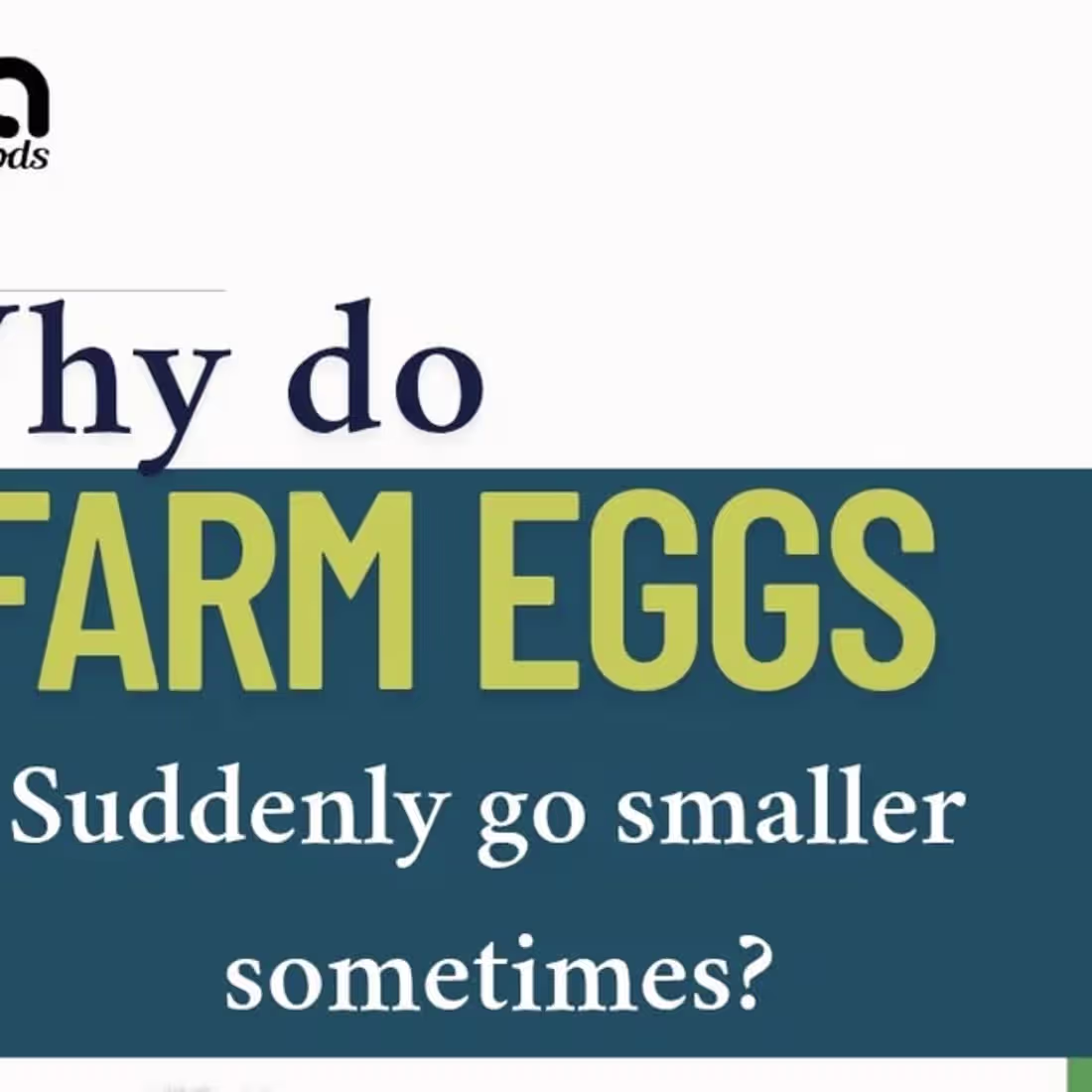 Cover image for Egg Size Awareness Campaign for nderafoods_farm