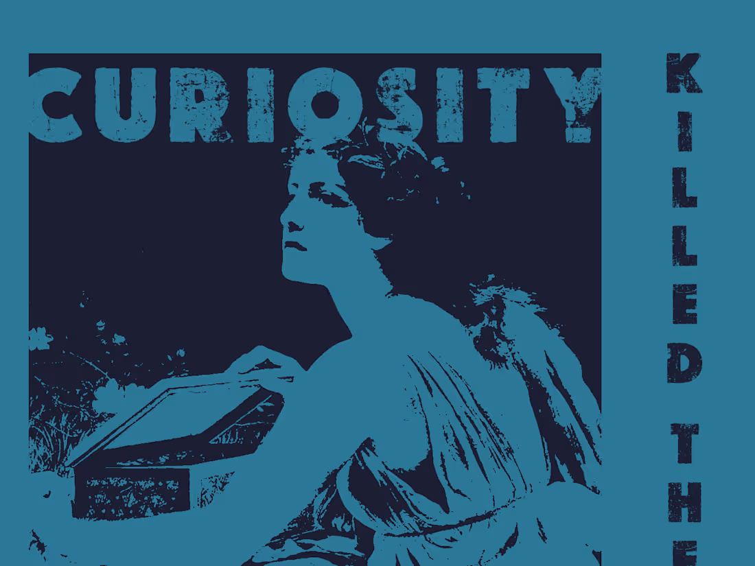 Cover image for Curiosity Killed The Cat