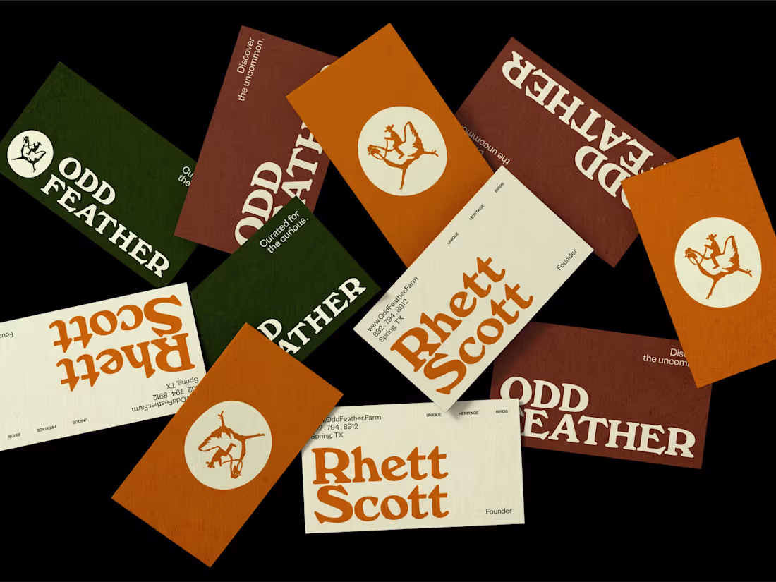 Cover image for Oddfeather started with a Texas