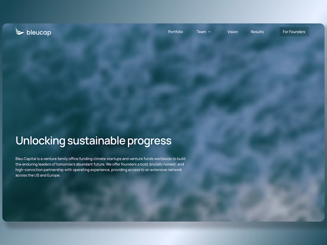Cover image for Bleu Capital – Webflow development project