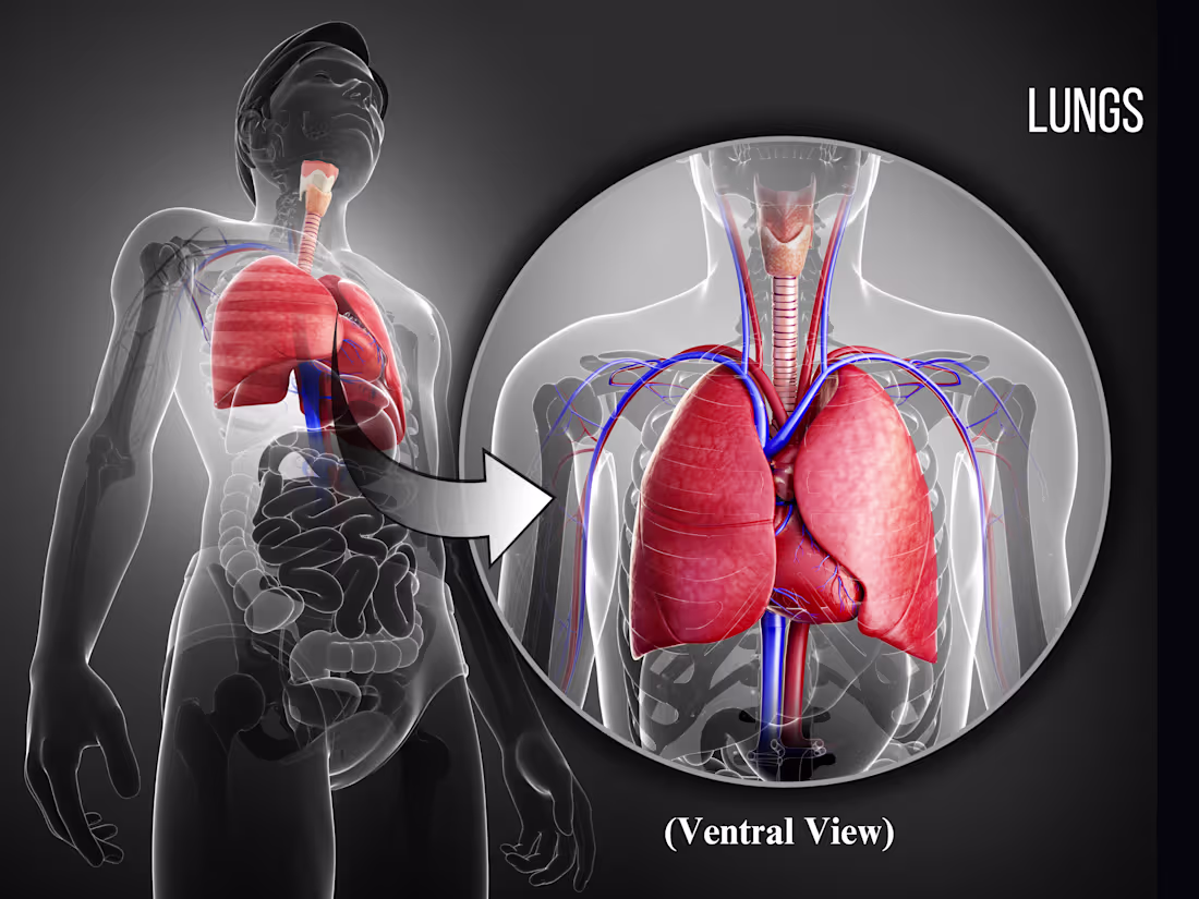 Cover image for Project: Designing Visual Aids for Medical Presentations