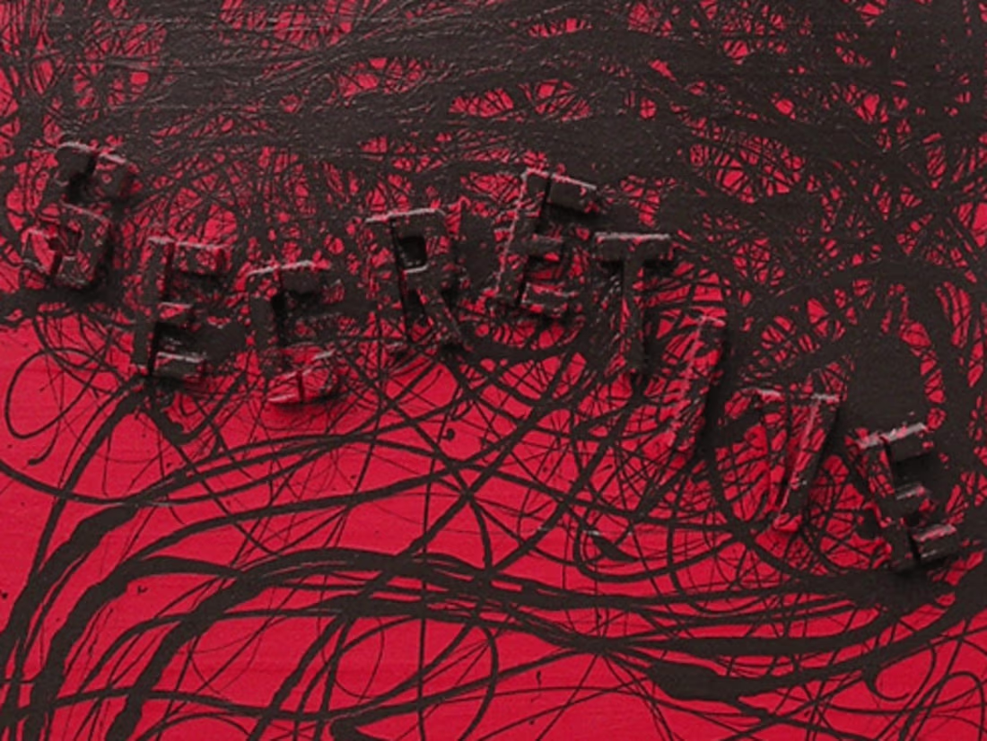 Cover image for Visible Series