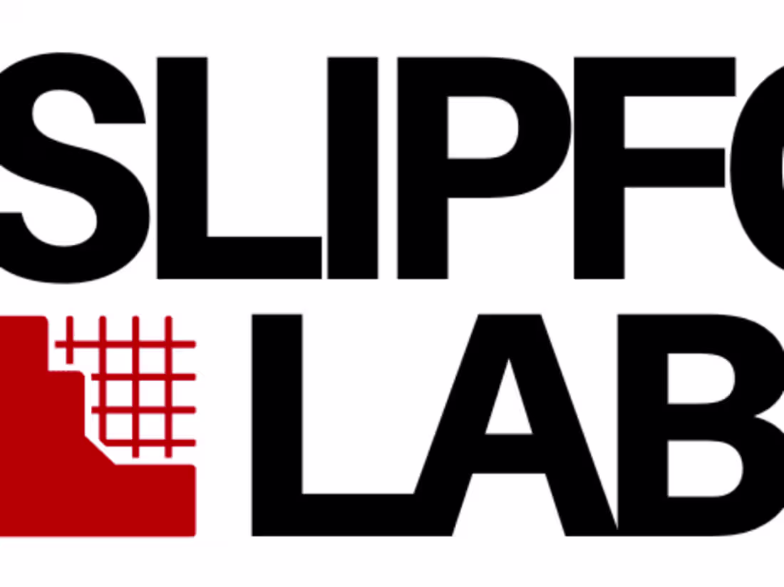 Cover image for Slip Form Labour