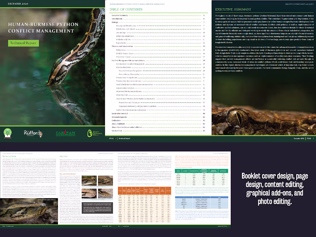 Cover image for Technical Report Booklet Design for NGO