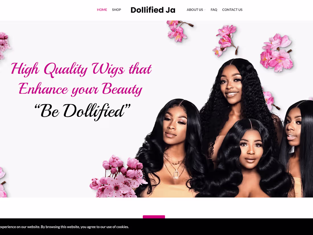 Cover image for Dollified