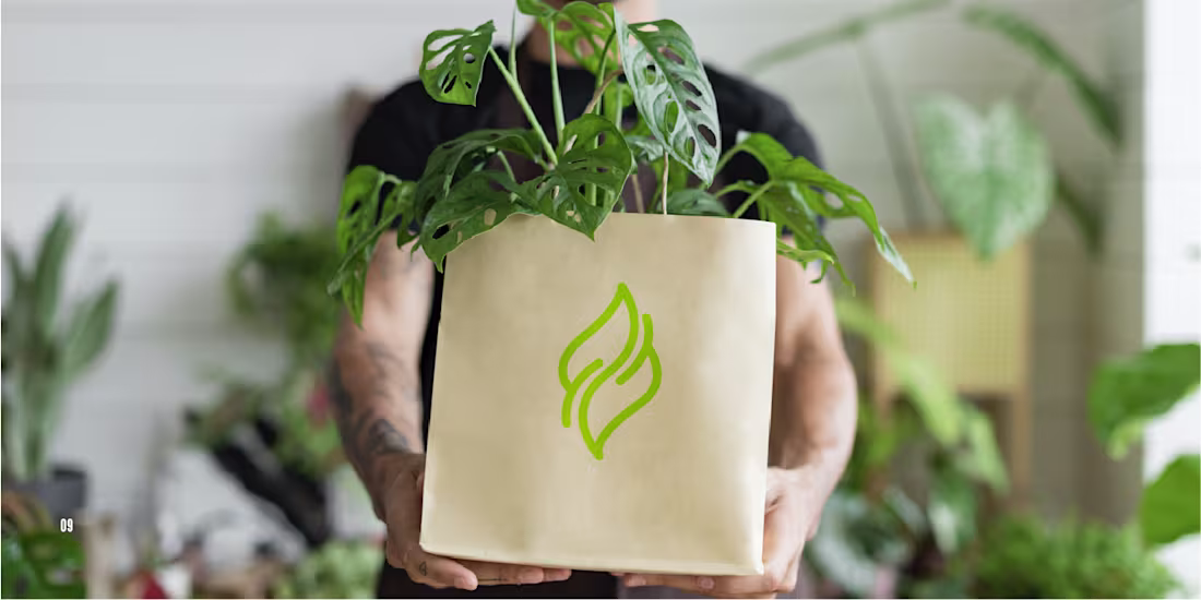 Cover image for NATURA | Branding & Identity