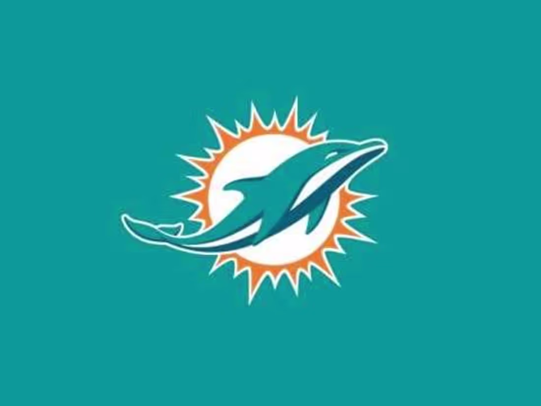 Cover image for Miami Dolphins SuiteView