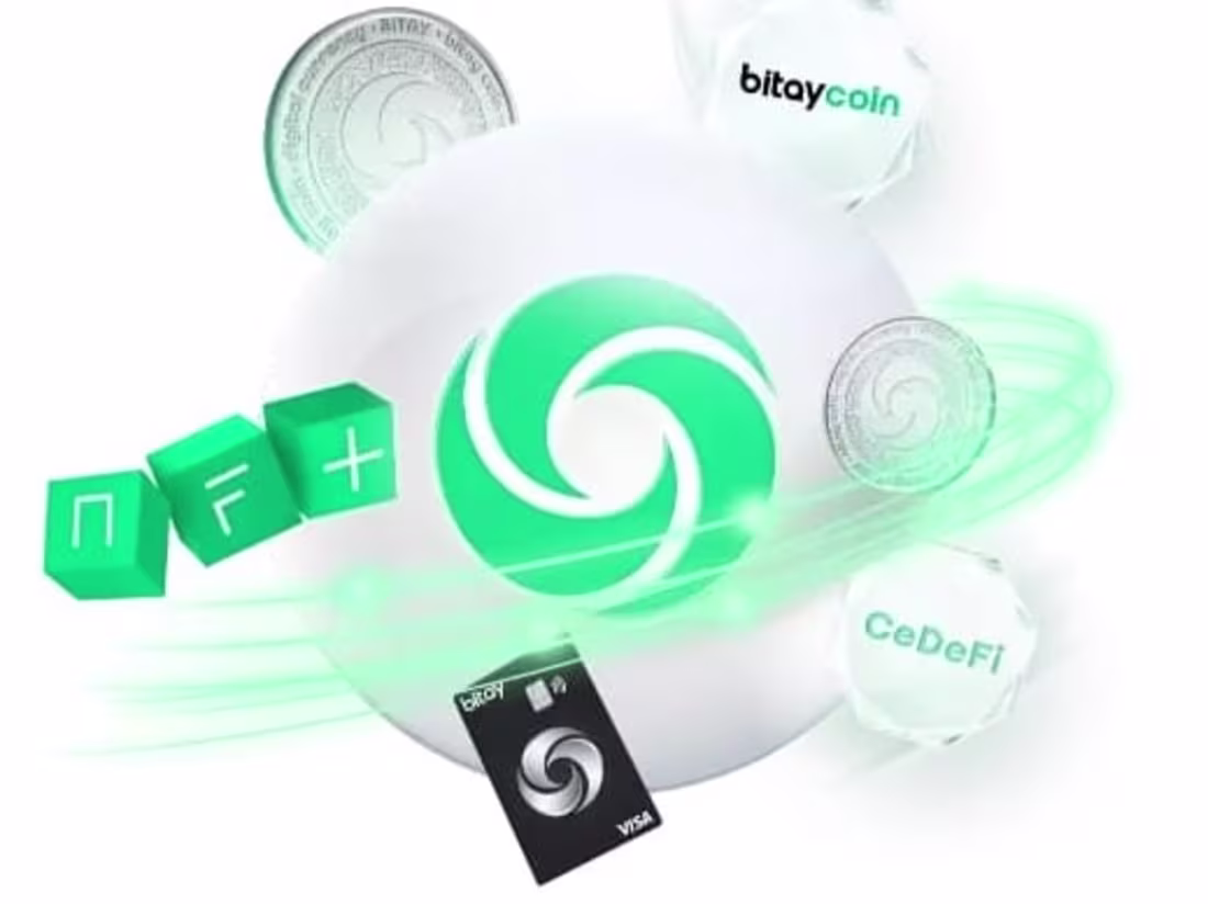 Cover image for Bitay 