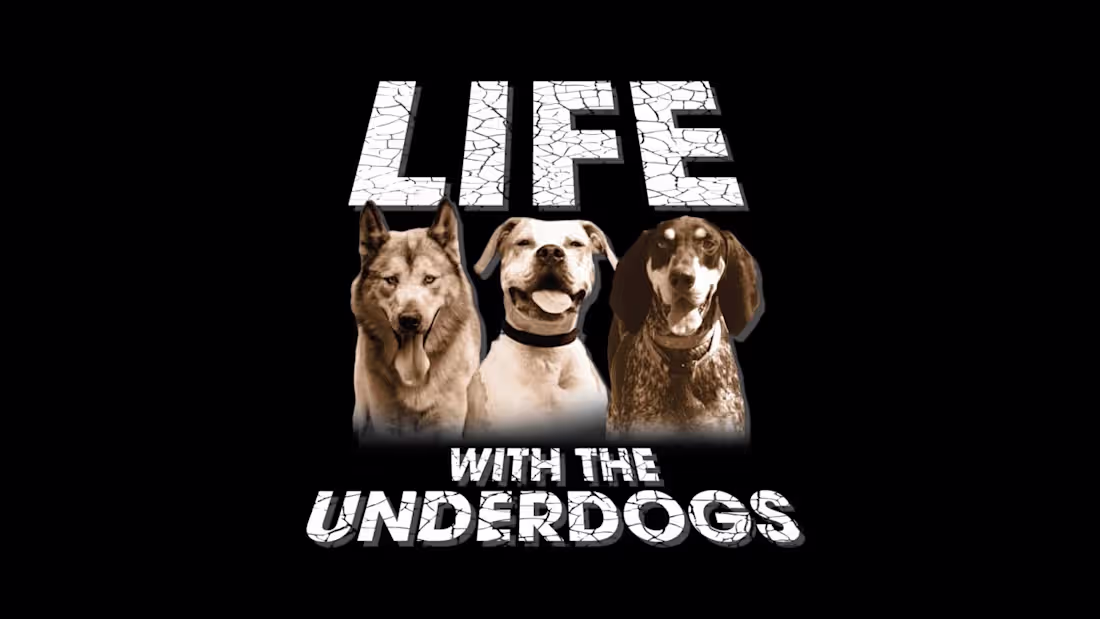 Cover image for RESCUING DOGS...IT WILL RIP YOUR HEART OUT. - YouTube