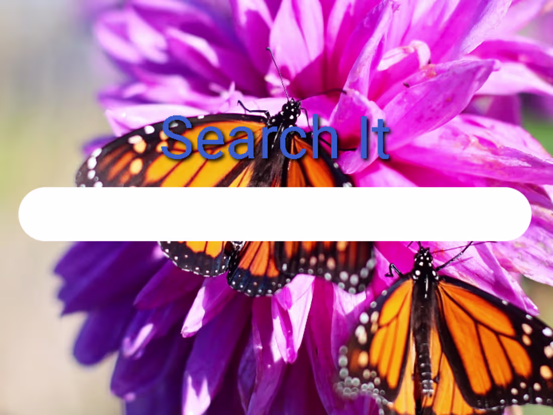 Cover image for Ukraine Insects – Educational Web Gallery