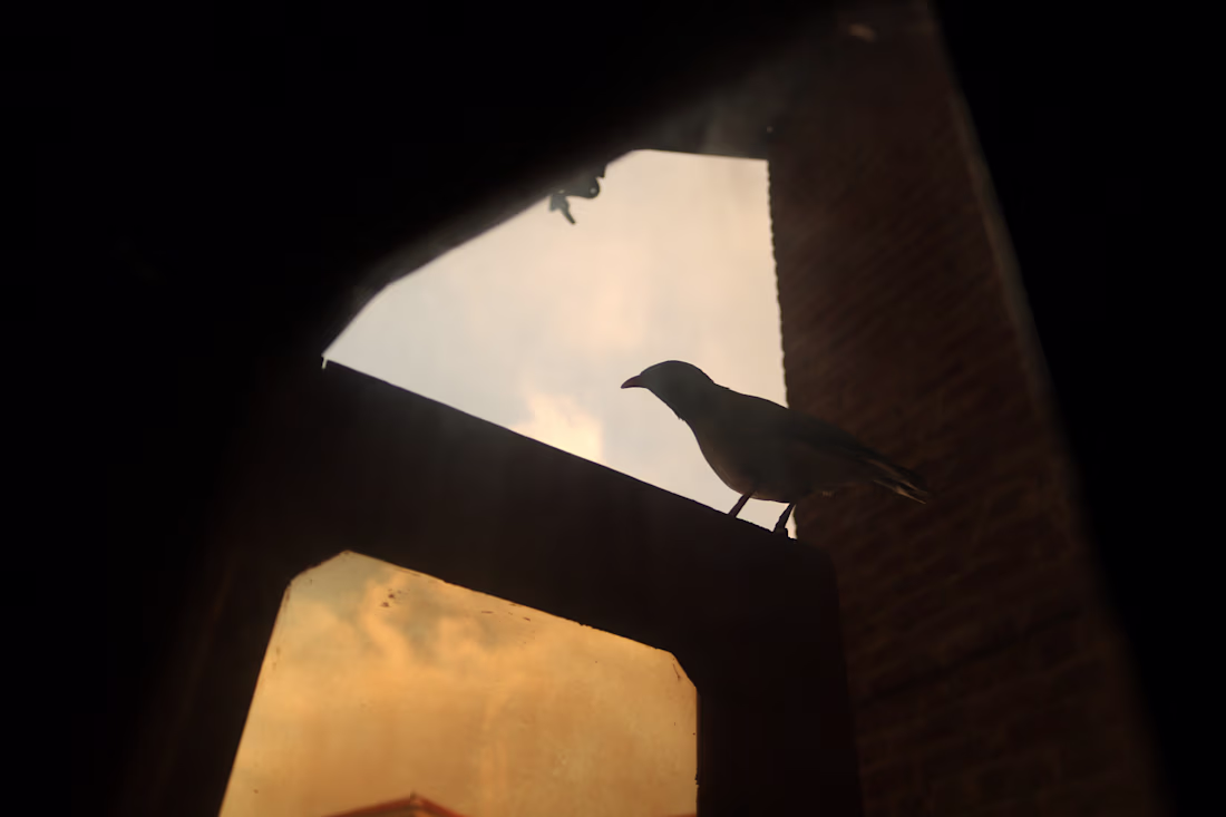 Cover image for Do you see yourself there?