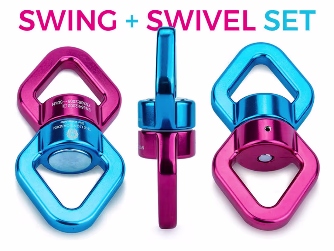 Cover image for The Lion's Garden Swing + Swivel Set