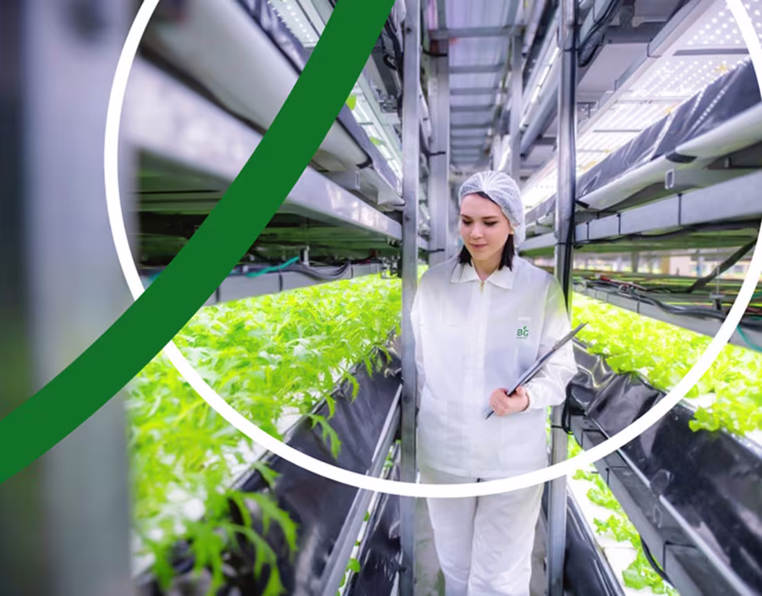 Cover image for Baja Green Hydroponics