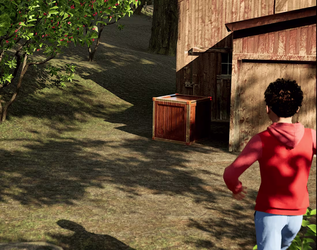 Cover image for A boy searching for a Box