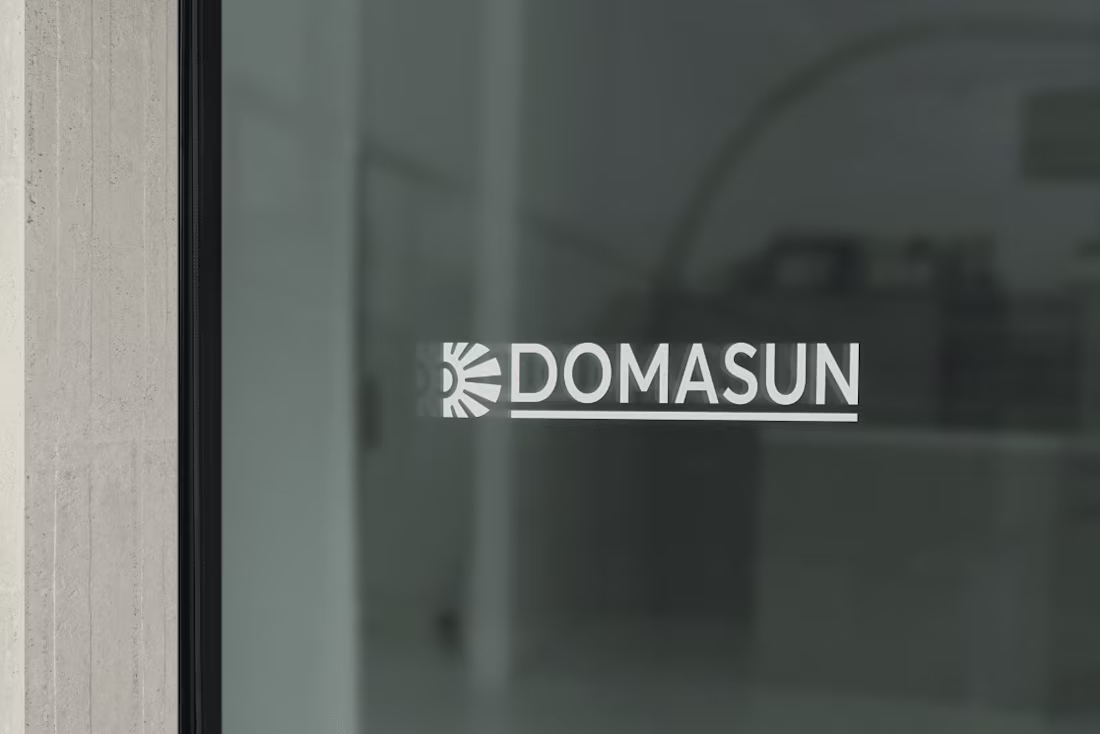 Cover image for Forging the Future: Domasun's Vision for Your Digital Presence