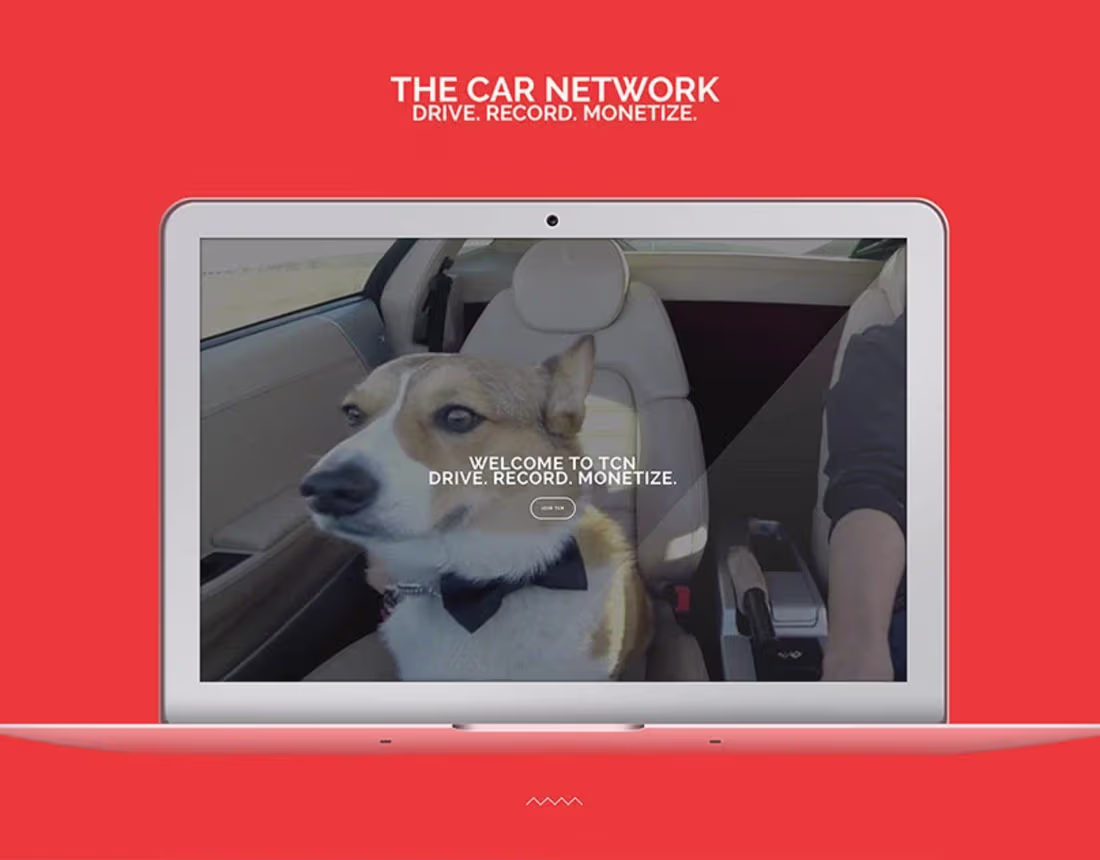 Cover image for The Car Network