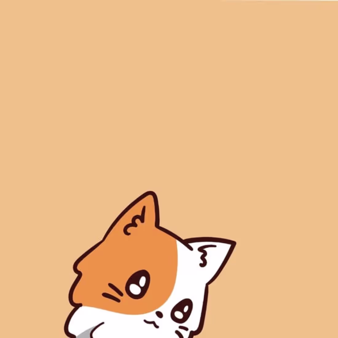 Cover image for Mixi kaape