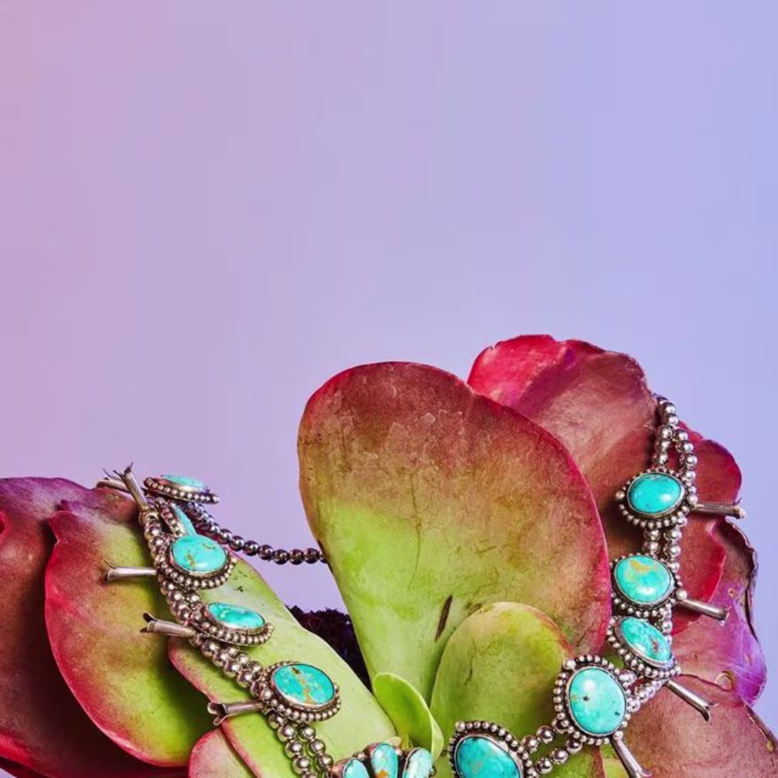 Cover image for Gabrielle Weber on Instagram: “Photography : Gabrielle Weber
St…