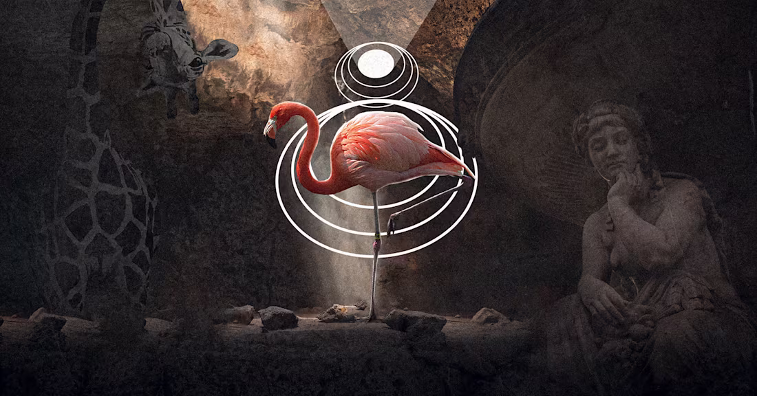 Cover image for Creasy World Artwork