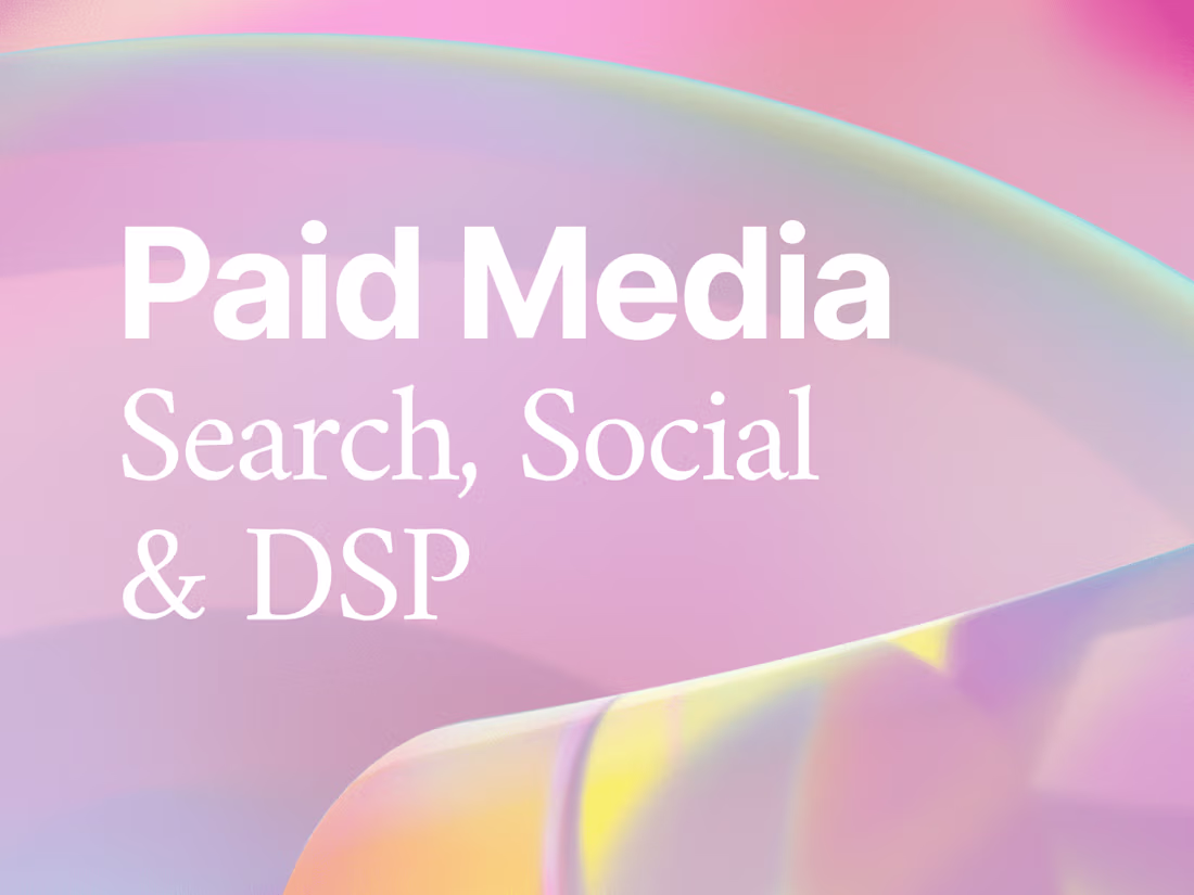 Cover image for Data-Driven Paid Media Strategies: Scale Your Brand