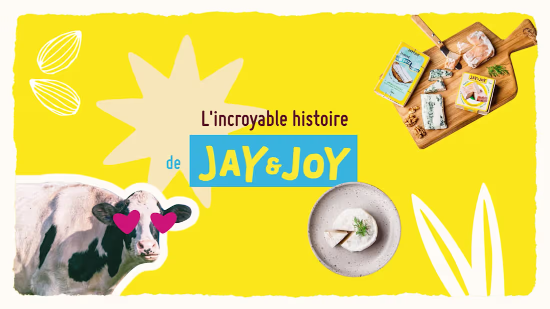 Cover image for The story of Jay&Joy