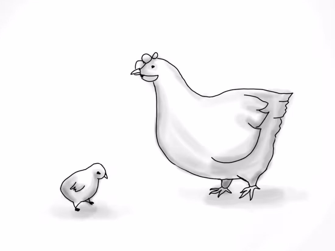 Cover image for Chicken Story