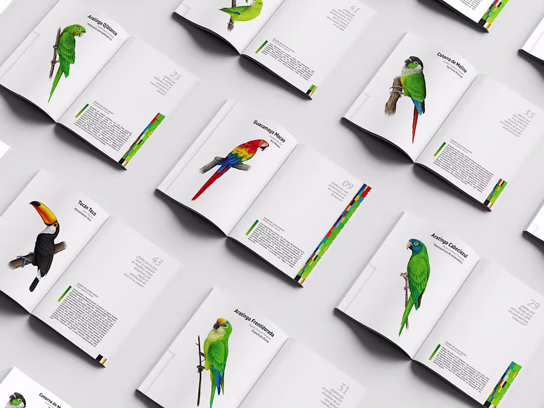 Cover image for Illustrated Field Guide for Biocentro Güembé