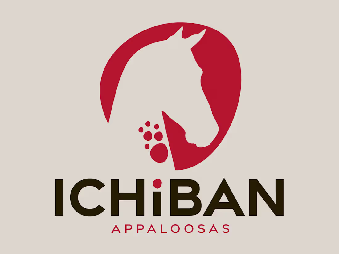Cover image for Ichiban Appaloosas | Branding a new company