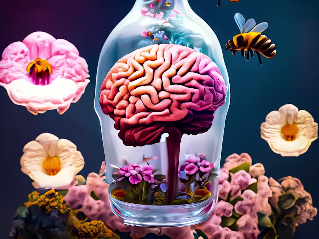 Cover image for My highest ability for your needs 