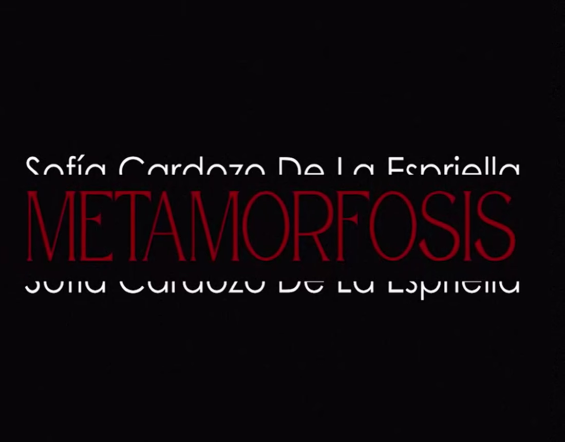 Cover image for Demo latest projects 2025