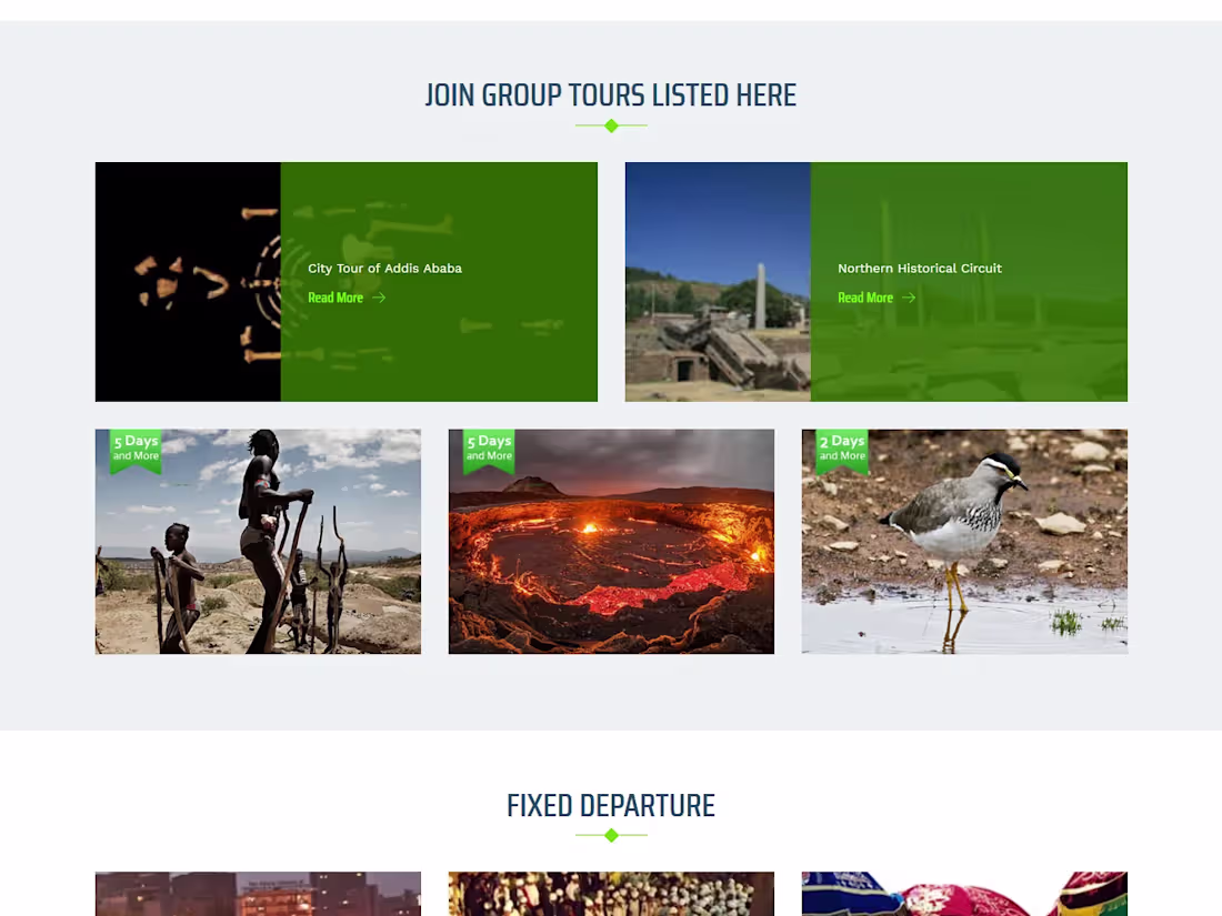 Cover image for Website Development In Wordpress