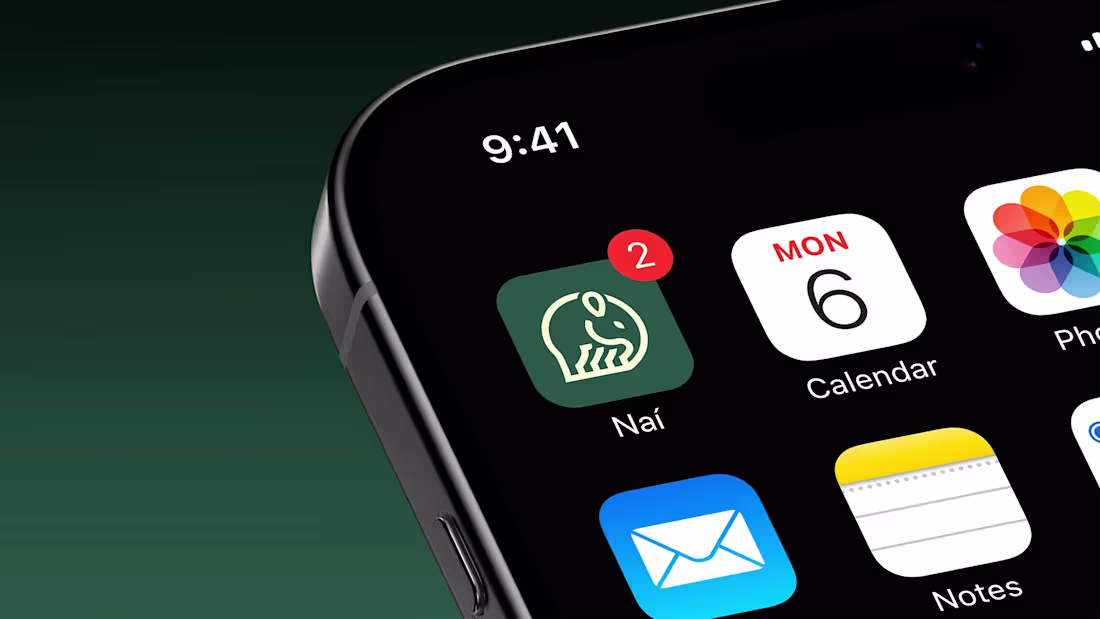 Cover image for Naí Experience Brand Identity Design