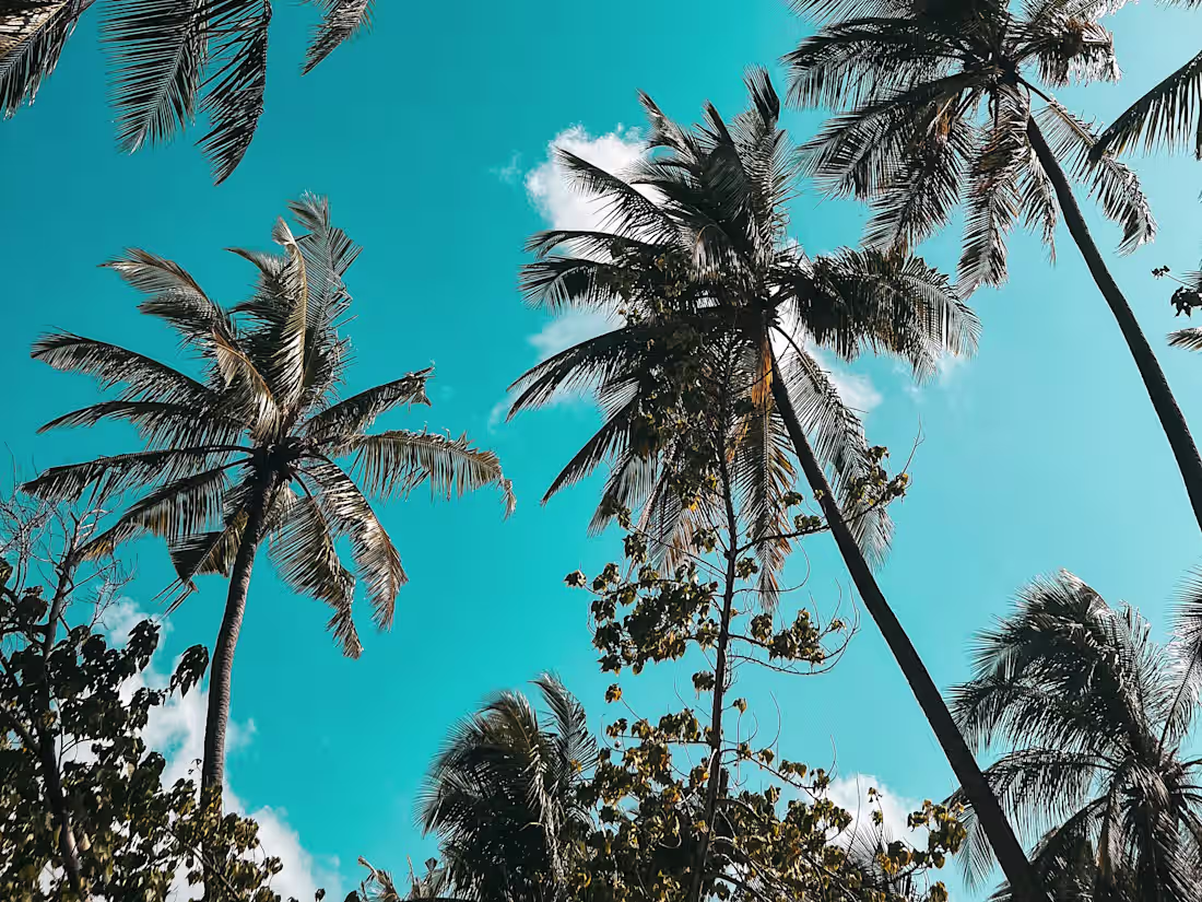 Cover image for Passion for travelling