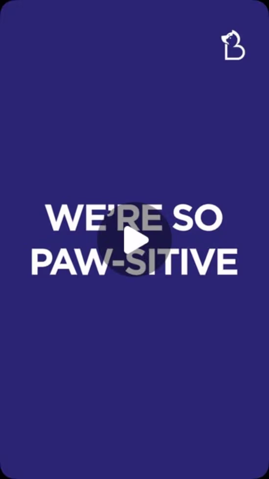 Cover image for Bookmypet app promotion 