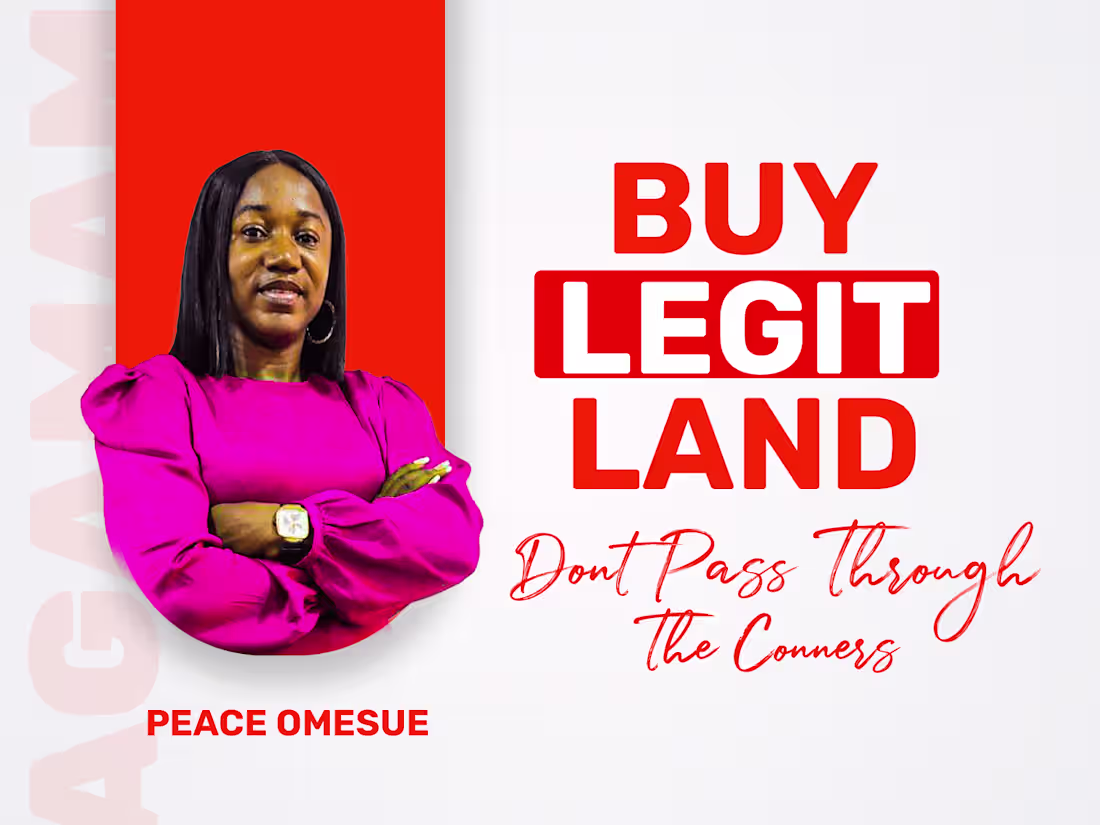 Cover image for David