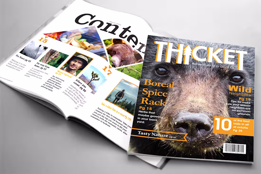 Cover image for Thicket Magazine- Made Up Nature Magazine