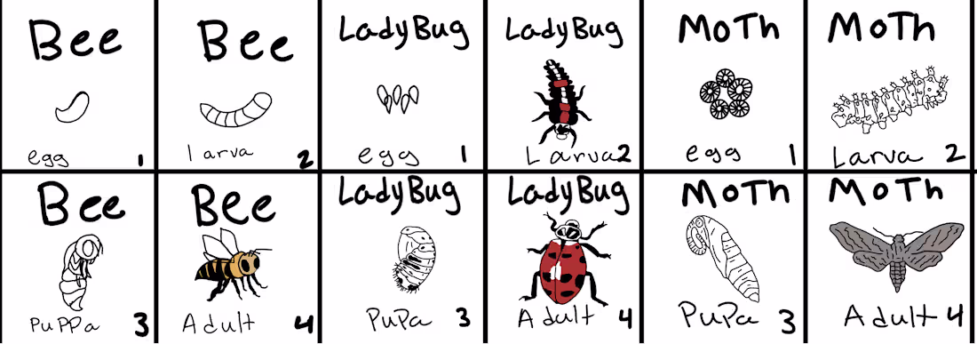 Cover image for Evilution