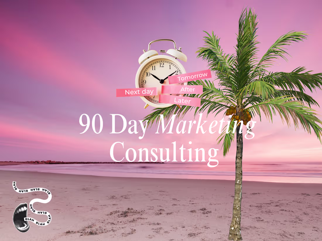 Cover image for 90-Day Marketing Strategy Consulting