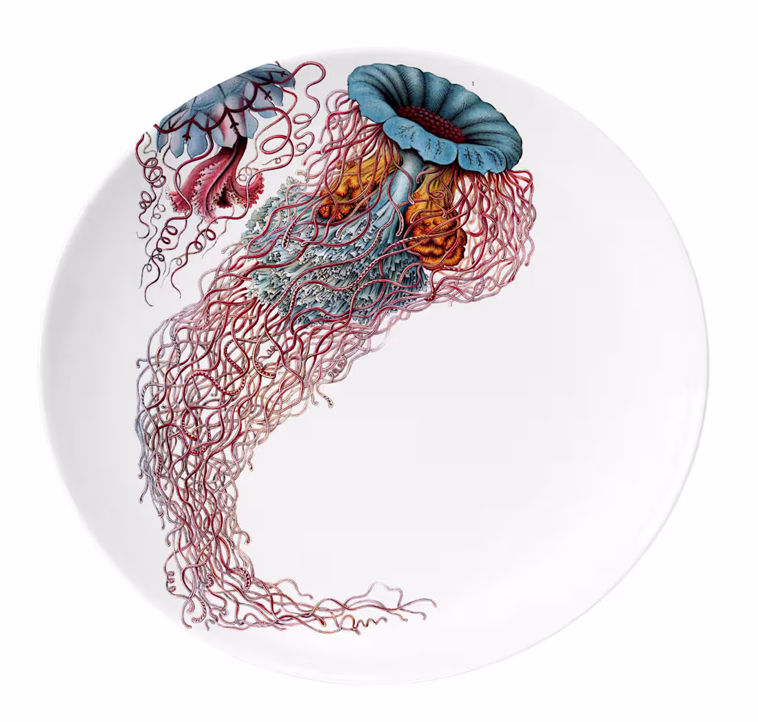 Cover image for Maritmos — Porcelain Collection
Maritmos is