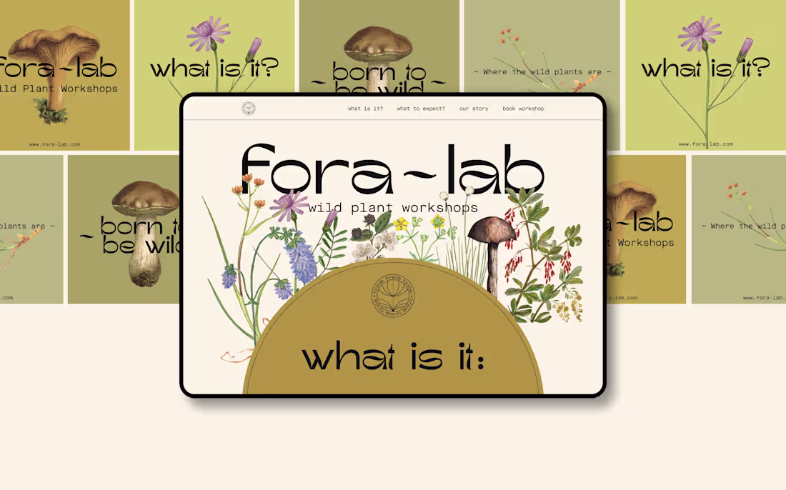 Cover image for Fora-lab
