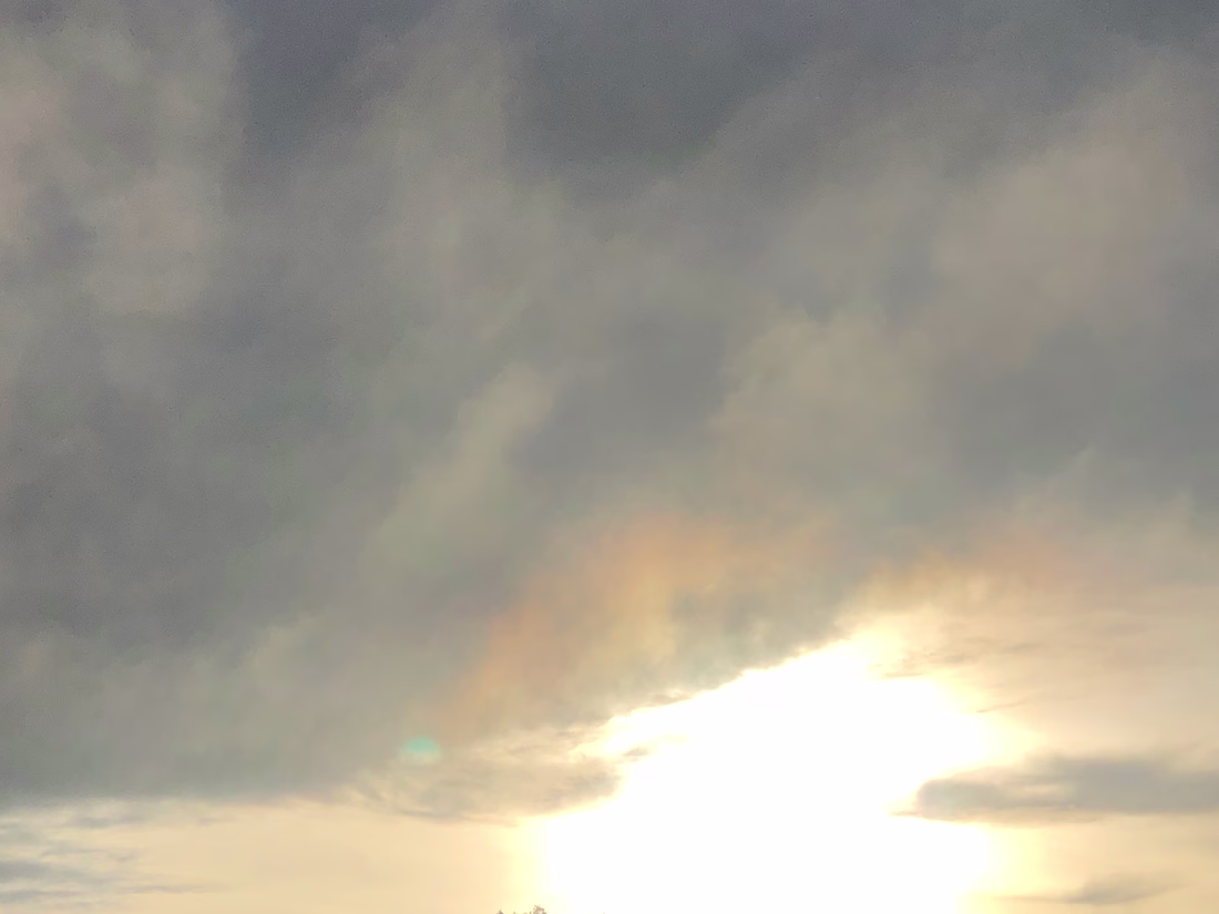 Cover image for Business 