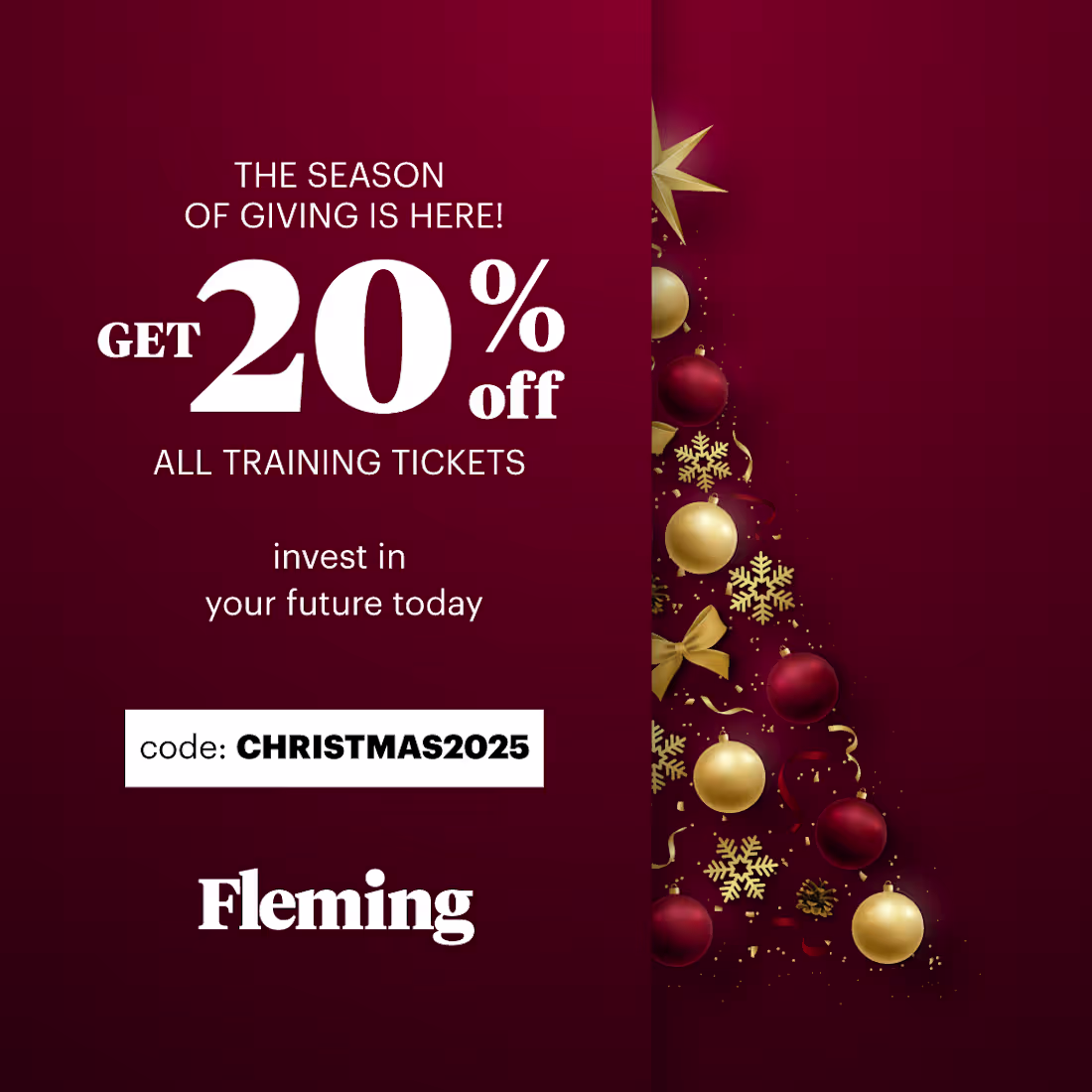 Cover image for campaing XMAS banner