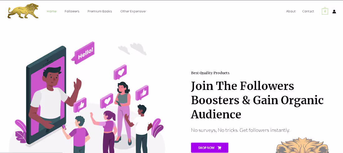 Cover image for Followers Boosters