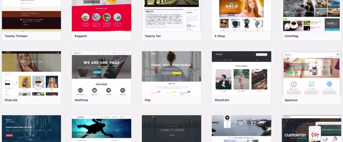 Cover image for WordPress Theme/Template Customization