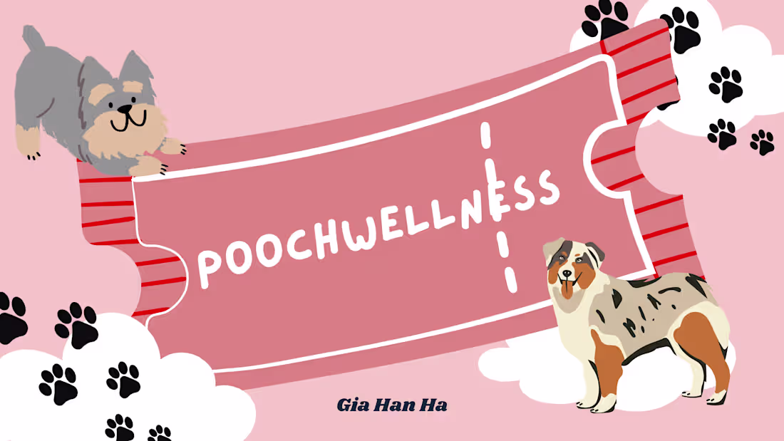 Cover image for PoochWellness — Brand & Website for New Dog Owners