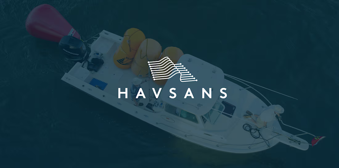 Cover image for Havsans