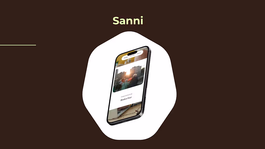 Cover image for Sanni is a conceptual website