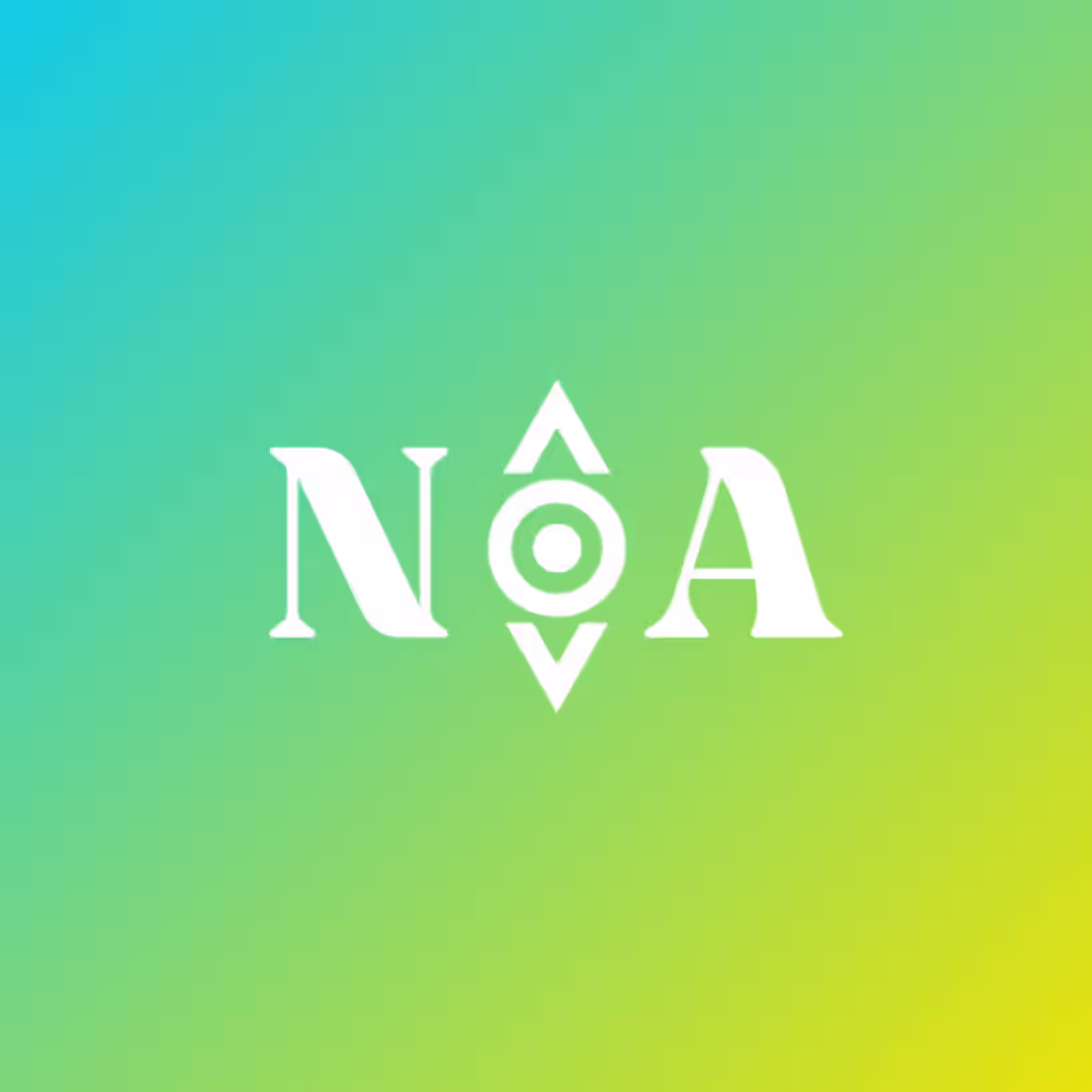 Cover image for Nova Logo Design Concept