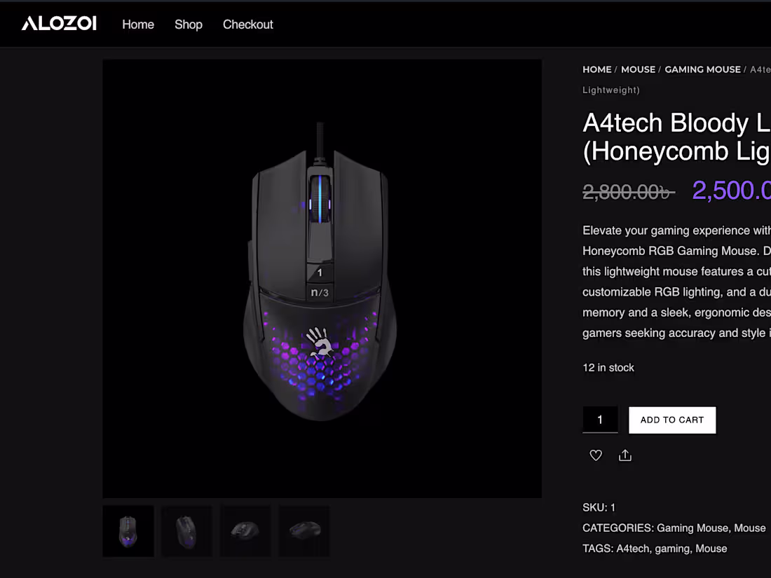 Cover image for ALOZOI: E-commerce Website Development