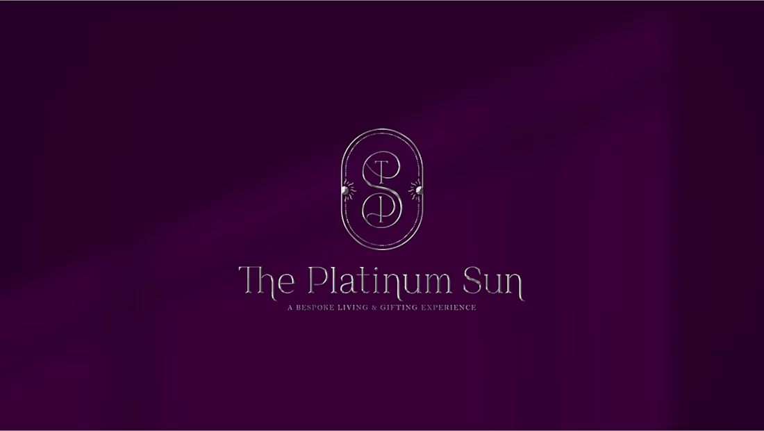 Cover image for The Platinum Sun 